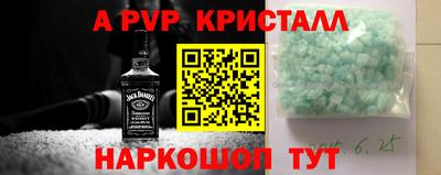 соль ск Сланцы