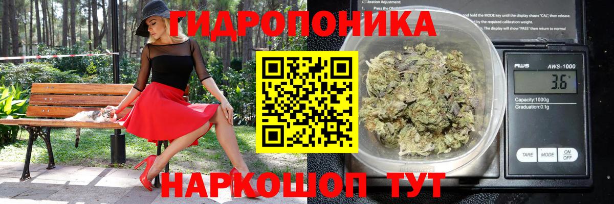 Марихуана OG Kush  Каннабис SATIVA & INDICA  Осинники  Вход с VPN  Бошки Шишки марихуана 